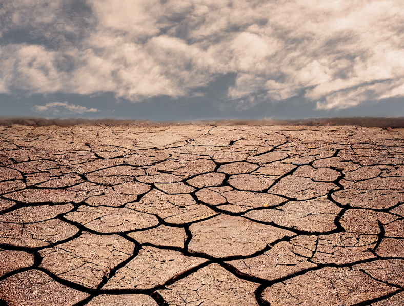HCP: la sécheresse pèse sur la croissance au premier trimestre 2024